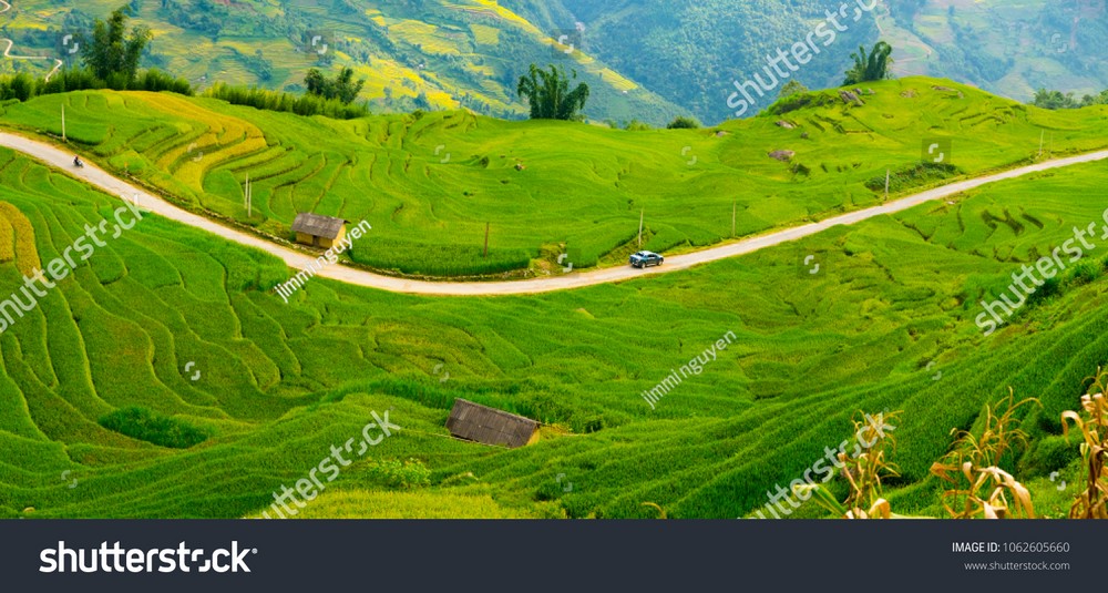 Ruộng bậc thang Tây Bắc MRBT-022